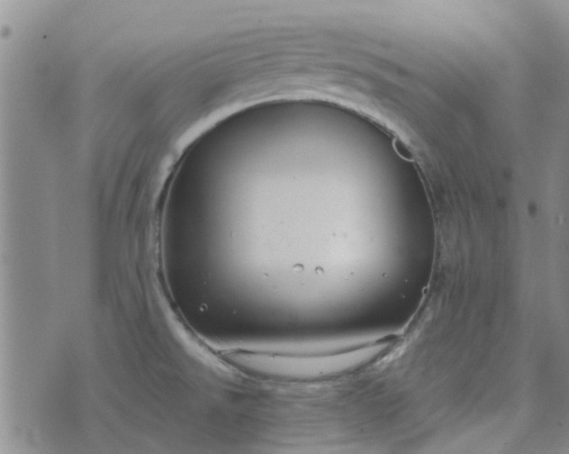 X0000076381526200610161102