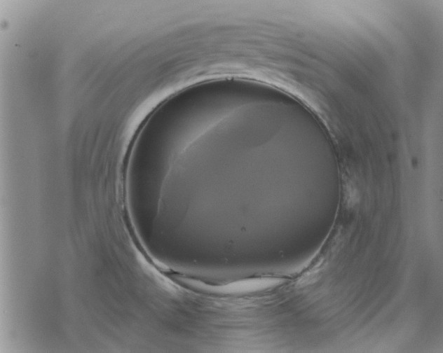 X0000076381527200610161102