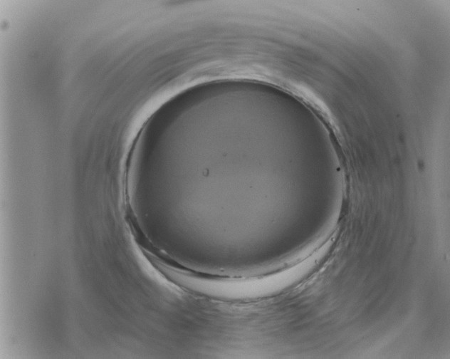 X0000076381528200610161102