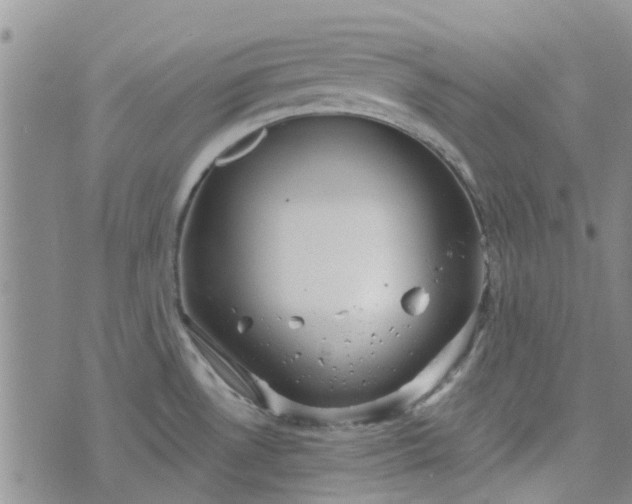 X0000076381530200610161102