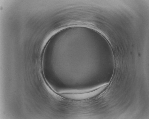 X0000076381531200610161102