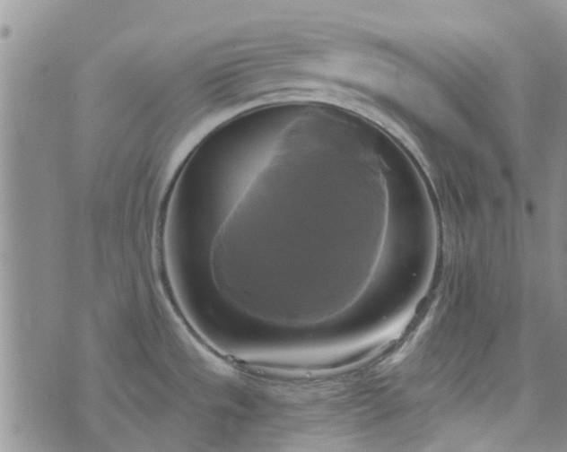 X0000076381533200610161102