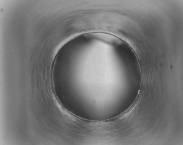 X0000076381534200610161102