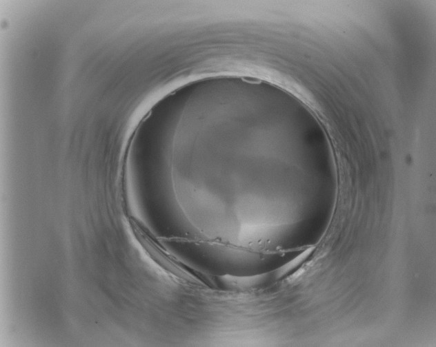 X0000076381536200610161102