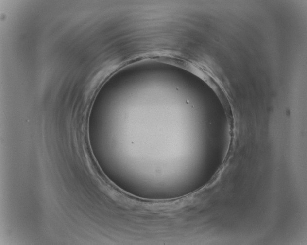 X0000076380001200610202051