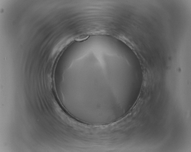 X0000076380002200610202051