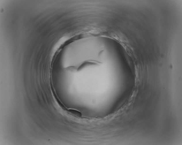 X0000076380003200610202051