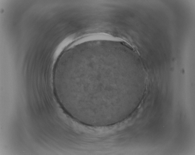 X0000076380006200610202051