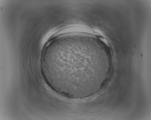 X0000076380007200610202051