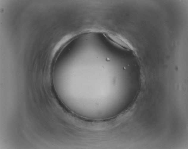 X0000076380008200610202051