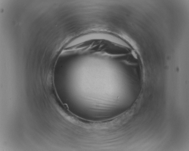 X0000076380009200610202051