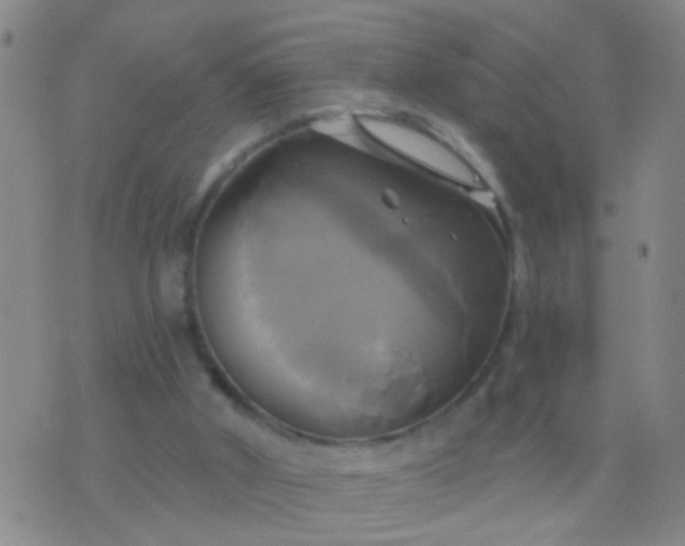 X0000076380010200610202051