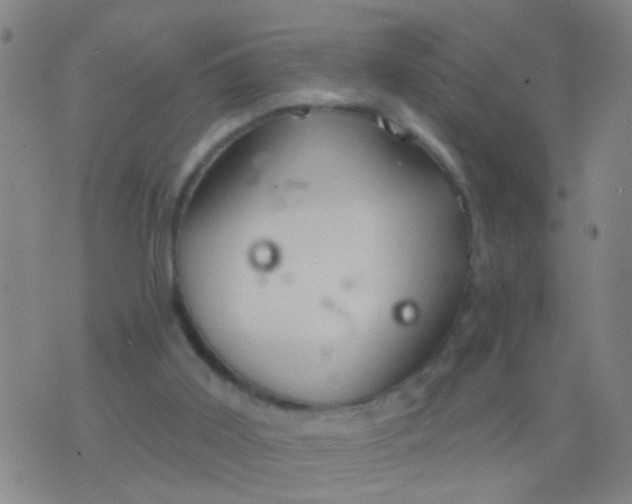 X0000076380011200610202051