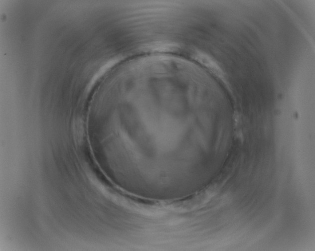 X0000076380012200610202051