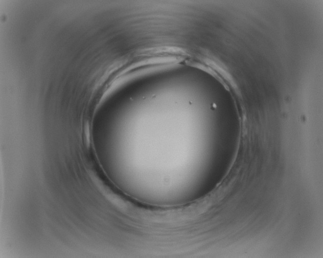 X0000076380013200610202051