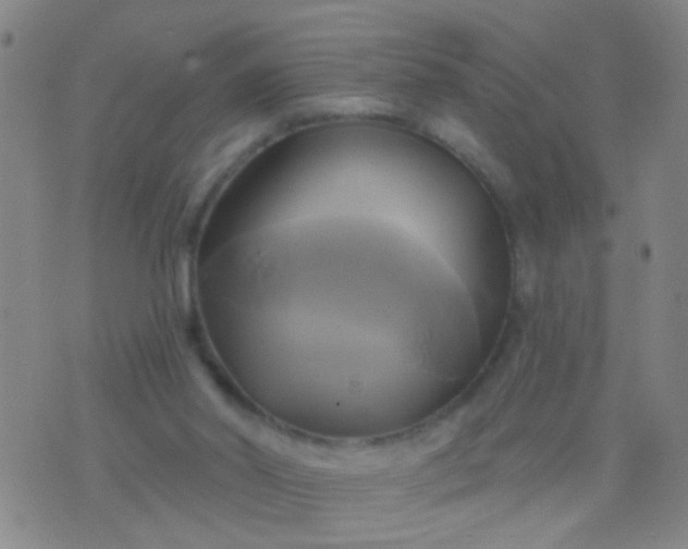 X0000076380014200610202051