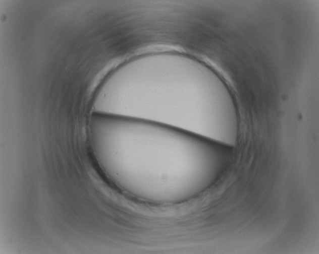 X0000076380015200610202051