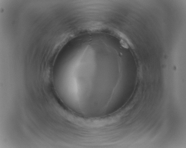 X0000076380018200610202051