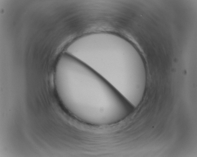 X0000076380019200610202051