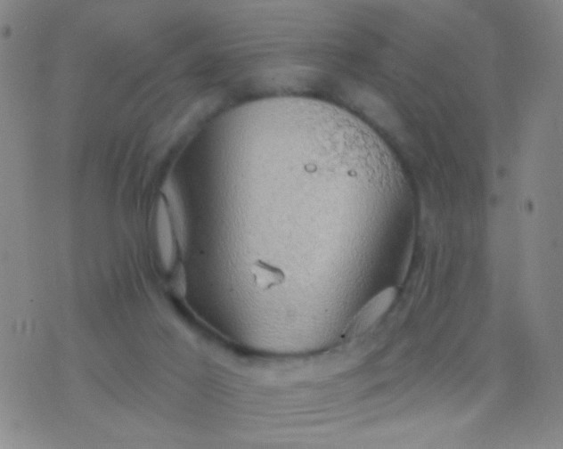 X0000076380021200610202051