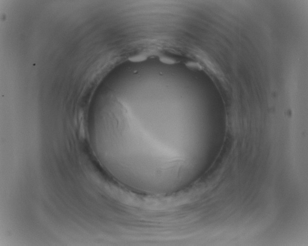 X0000076380022200610202051