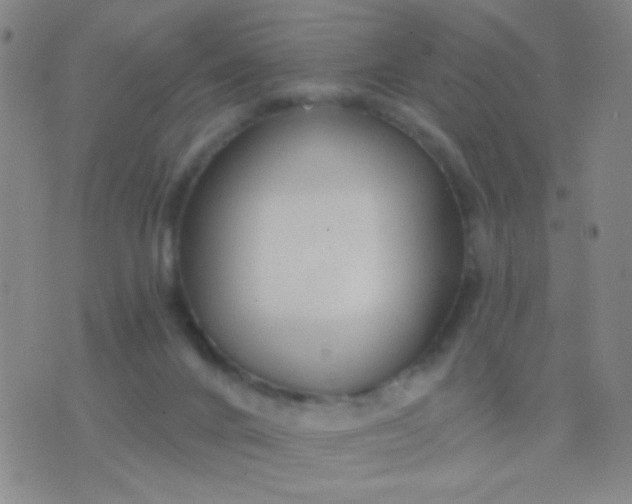 X0000076380024200610202050