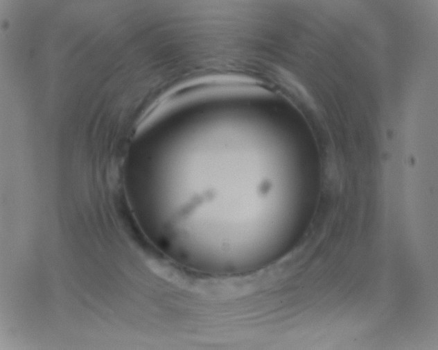 X0000076380025200610202050