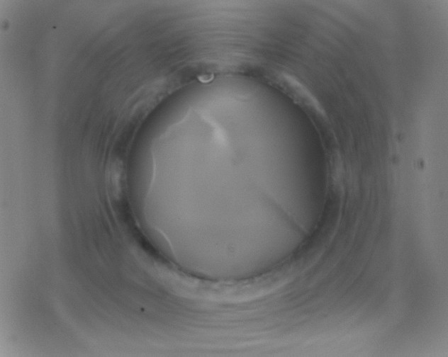 X0000076380026200610202050