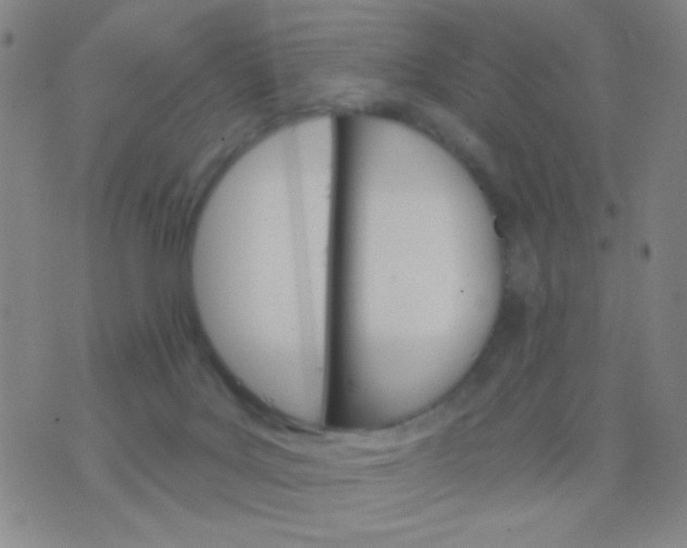 X0000076380027200610202050