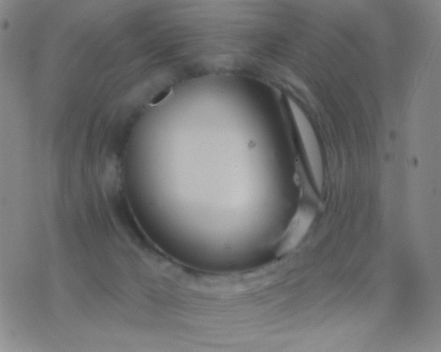 X0000076380029200610202050