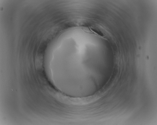 X0000076380030200610202050