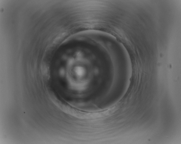 X0000076380031200610202050