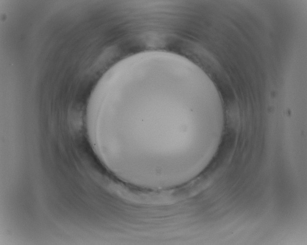 X0000076380032200610202050