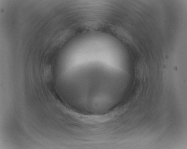 X0000076380034200610202050