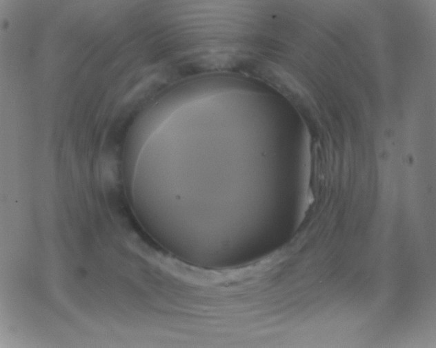 X0000076380035200610202050