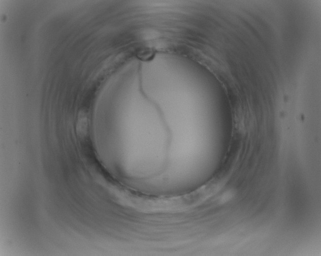 X0000076380036200610202050