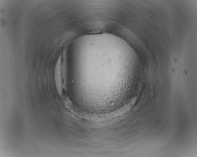 X0000076380037200610202050