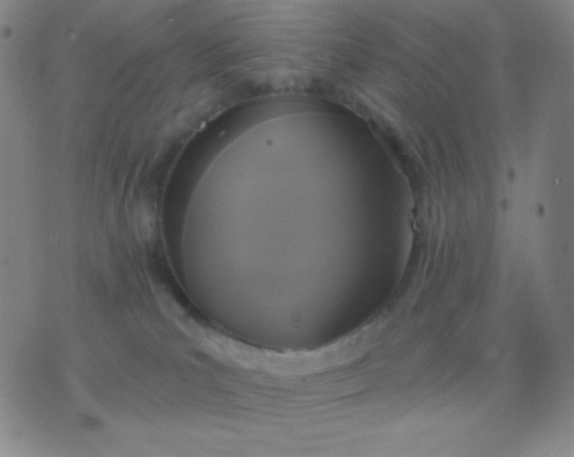 X0000076380039200610202050