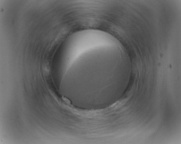 X0000076380040200610202050