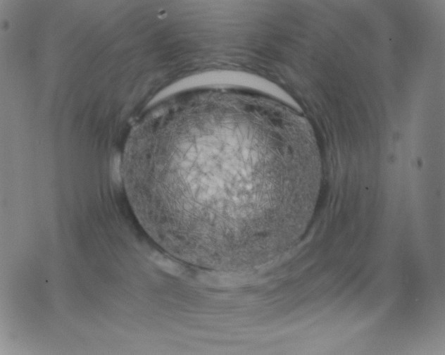 X0000076380041200610202050