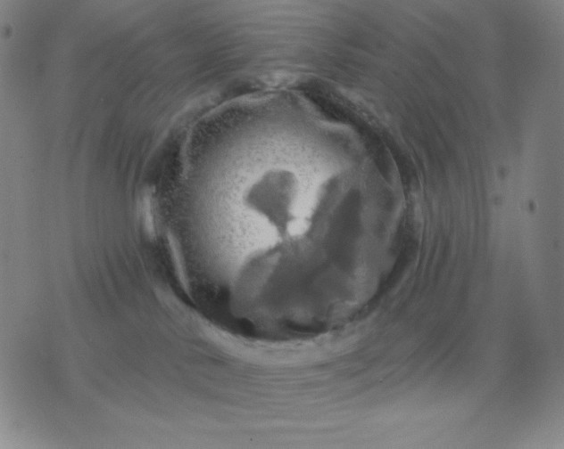 X0000076380042200610202050