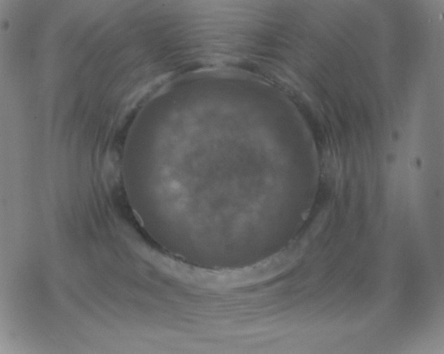 X0000076380043200610202050