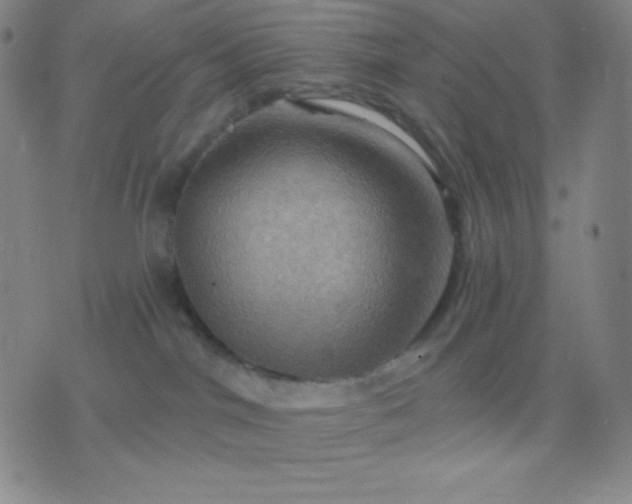 X0000076380044200610202050