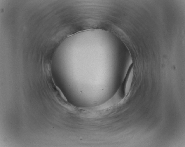 X0000076380045200610202050