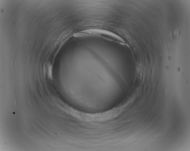 X0000076380046200610202050