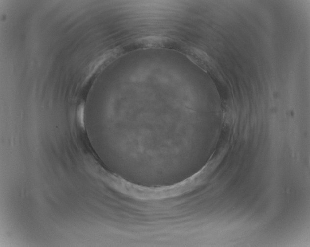 X0000076380047200610202050