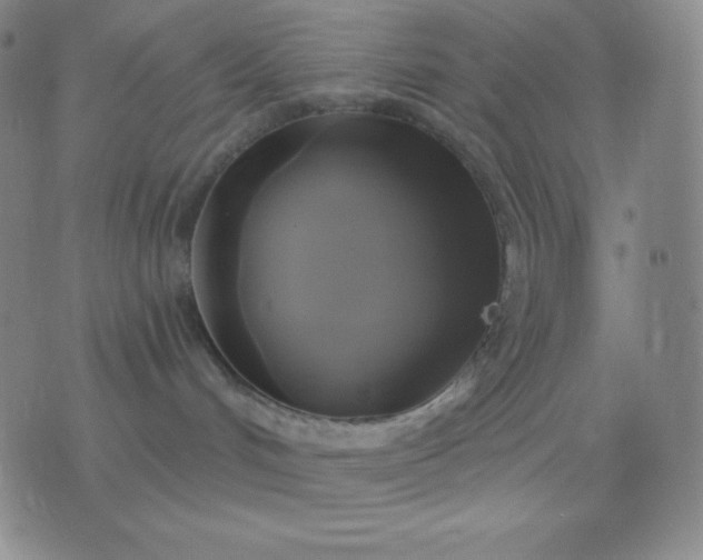 X0000076380048200610202050