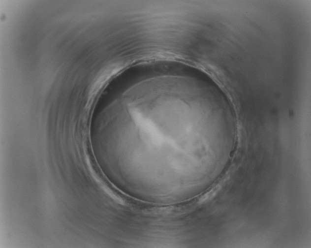 X0000076380049200610202049