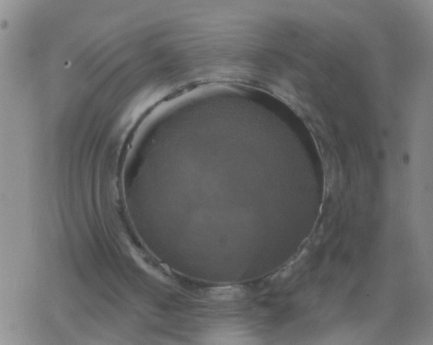 X0000076380050200610202049