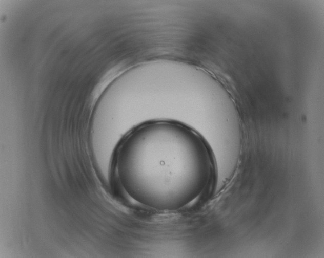 X0000076380051200610202049